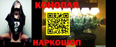 мяу мяу мука Владивосток