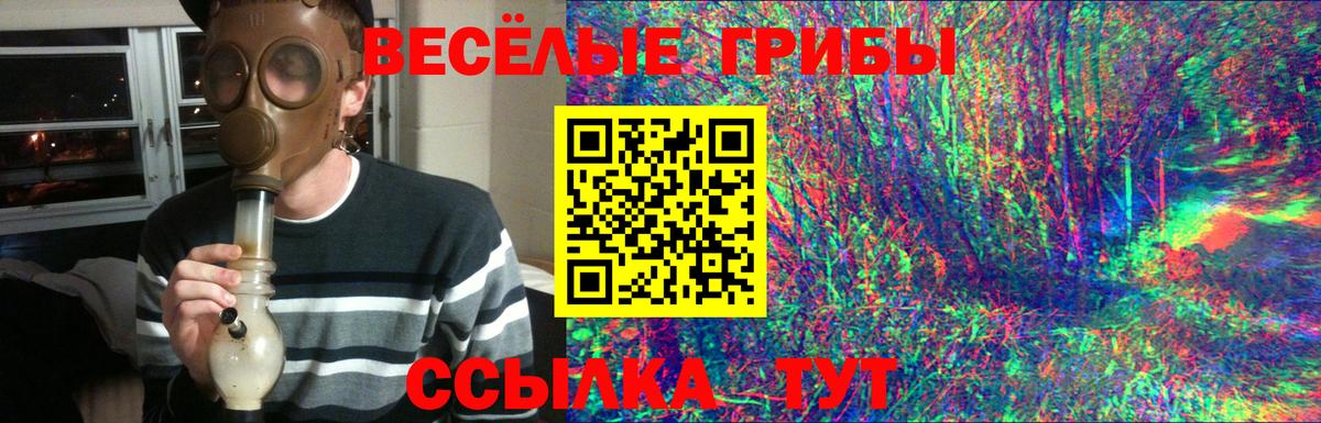 Псилоцибиновые грибы MAGIC MUSHROOMS  Вход с VPN  Конаково  Псилоцибиновые грибы MAGIC MUSHROOMS 