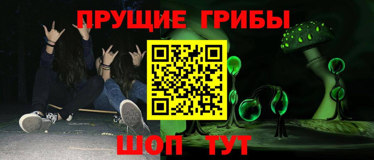 Галлюциногенные грибы Psilocybe Конаково
